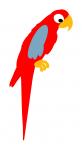 Parrot