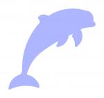 Dolphin