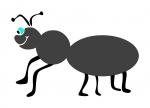 Ant