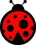 Ladybug