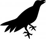 Crow