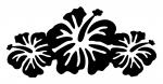 Hawaiian Flower