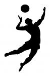 Man Volleyball Player