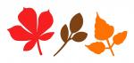 Trio Fall Leaves