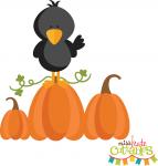 Autumn Crow on Pumpkin