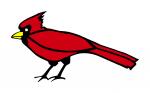 Cardinal