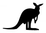 Kangaroo