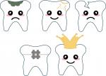 Tooth Report