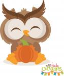 Fall Owl