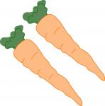 Carrots