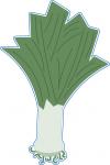 Green Onion