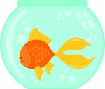 Goldfish in a Bowl