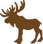 Oh Canada Collection: Moose