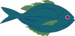 Small Fish