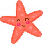 Cute Starfish