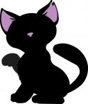 Precious Black Cat