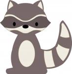 Little Raccoon