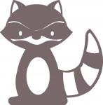 Little Raccoon