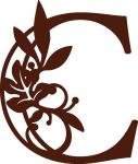 Fall Leaves Monogram Collection: C