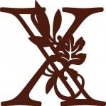 Fall Leaves Monogram Collection: X