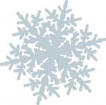 Snowed In