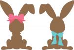 Chocolate Bunnies