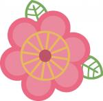 Summer Blossom