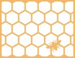 Honey Comb and Bee