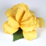 Spring Twirled Flowers Collection: Pointed Petal Flower