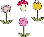 Flowers and Mushrooms