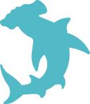 Hammerhead Shark