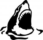 Shark Jaws