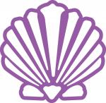 Purple Seashell