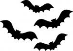 Bats