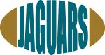 Pro Football Teams Collection: Jaguars