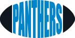 Pro Football Teams Collection: Panthers