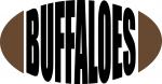 College Football Teams Collection: Buffaloes