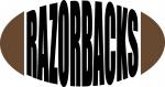 College Football Teams Collection: Razorbacks