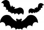 Bats