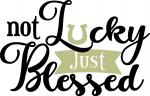 Not Lucky Just Blessed
