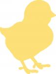 Baby Chick