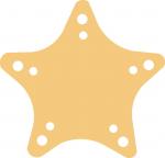 Maritime Monograms Collection: Starfish