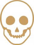 Skull 1