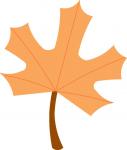 Maple Leaf