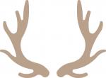 Antlers 1