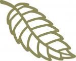 Outlined Leaf 1