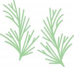Pine Sprigs
