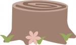 Tree Stump