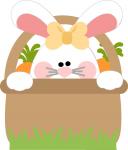Bunny Basket