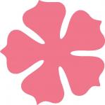 Pointed Petal Flower